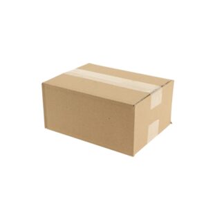 Kartonnen Doos Enkele Golf (B) Bruin 220x170x100 mm